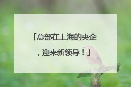 总部在上海的央企，迎来新领导！